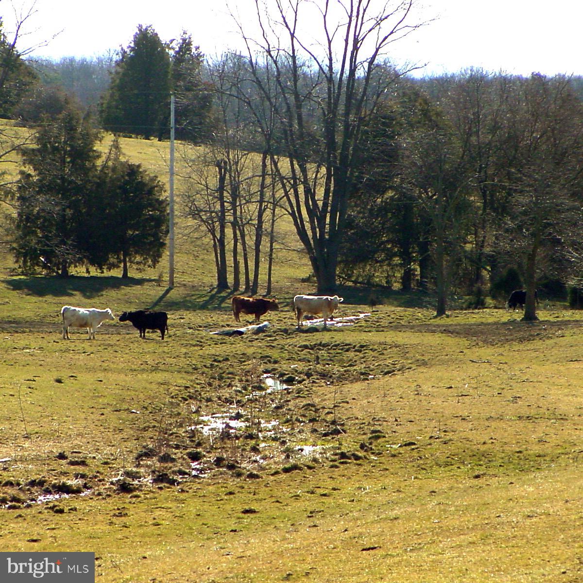 24 Riley Mill Lane Middletown, VA 22645 - Photo 12 of 22 Gallery Image 12