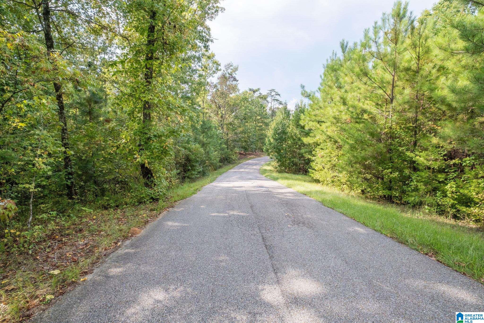 Lot 11 County Road 730, Unit 11 Clanton, AL 35046 - Photo 11 of 14