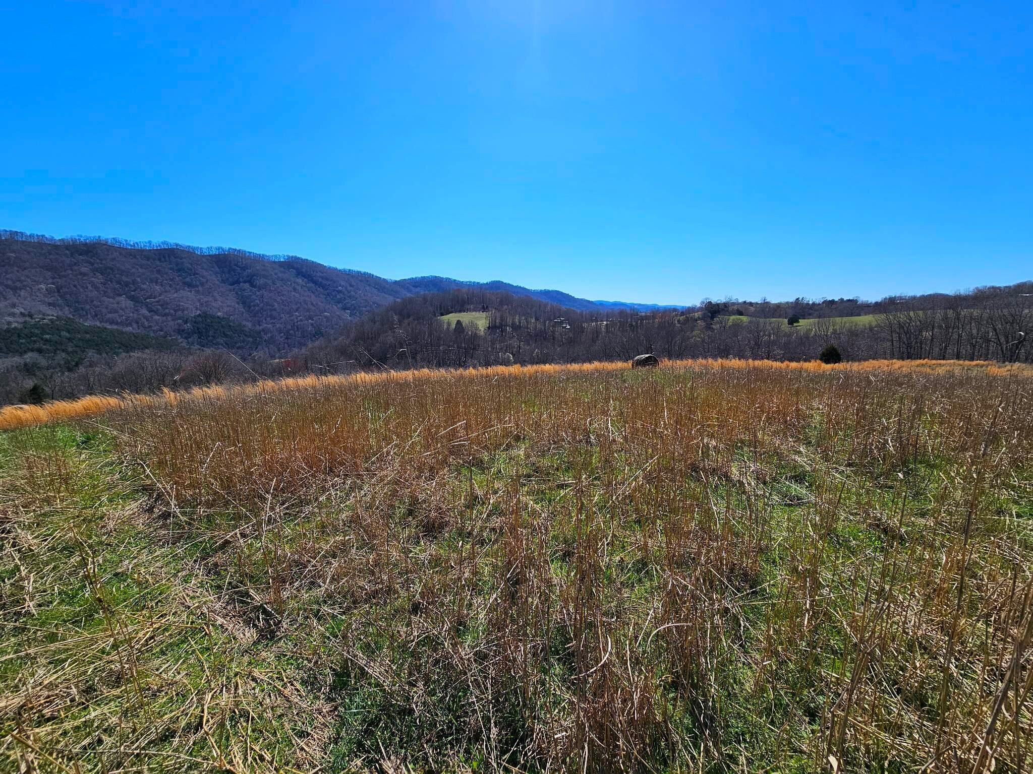 38330 Wilderness Road Jonesville, VA 24263 - Photo 44 of 95 33