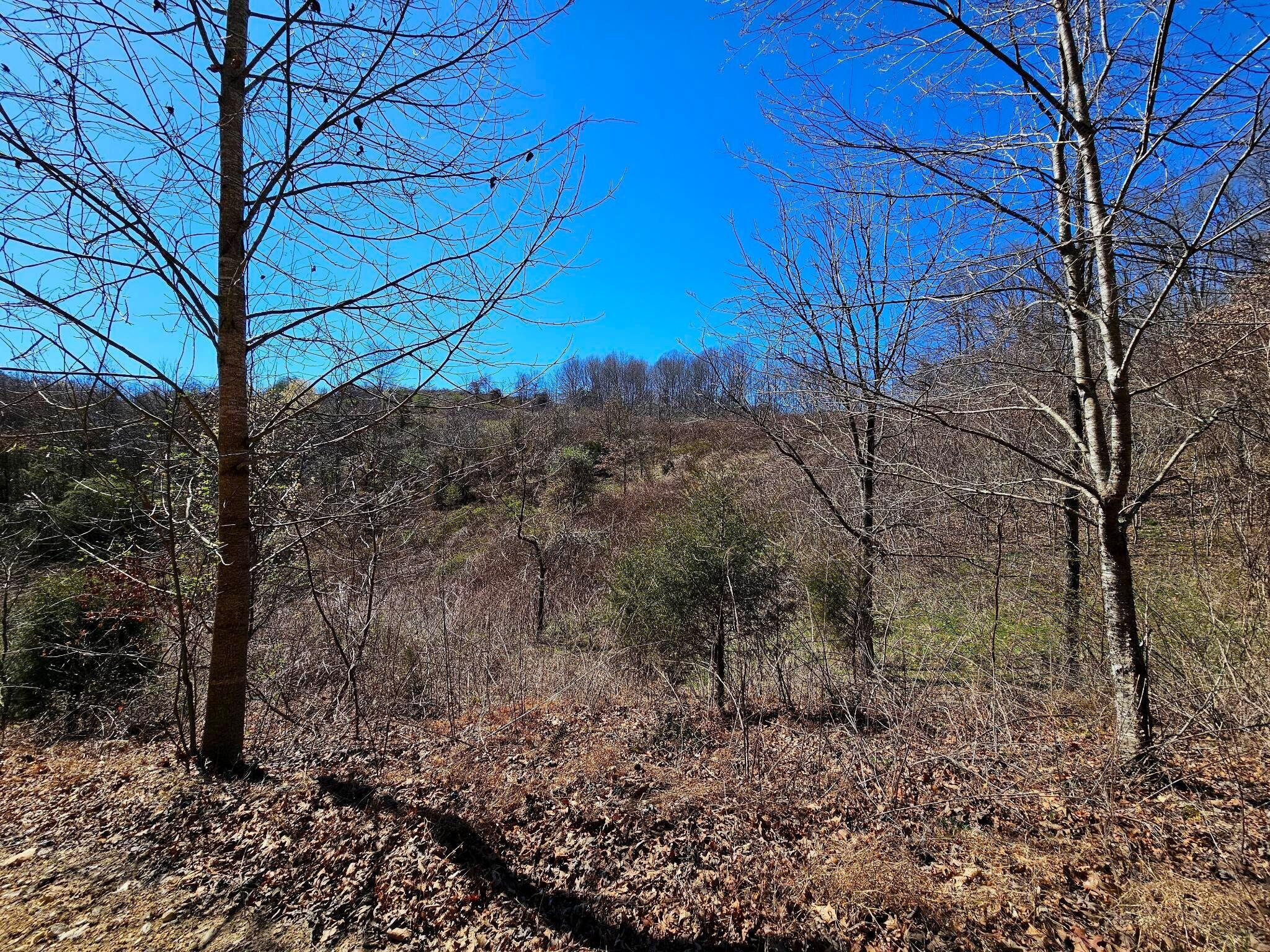 38330 Wilderness Road Jonesville, VA 24263 - Photo 54 of 95 43