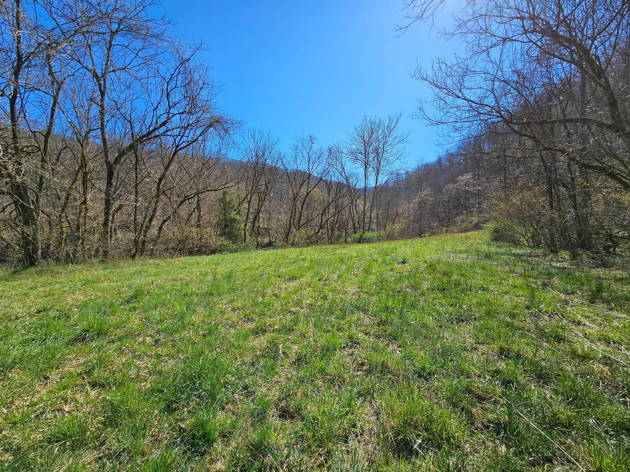38330 Wilderness Road Jonesville, VA 24263 - Photo 66 of 95 55