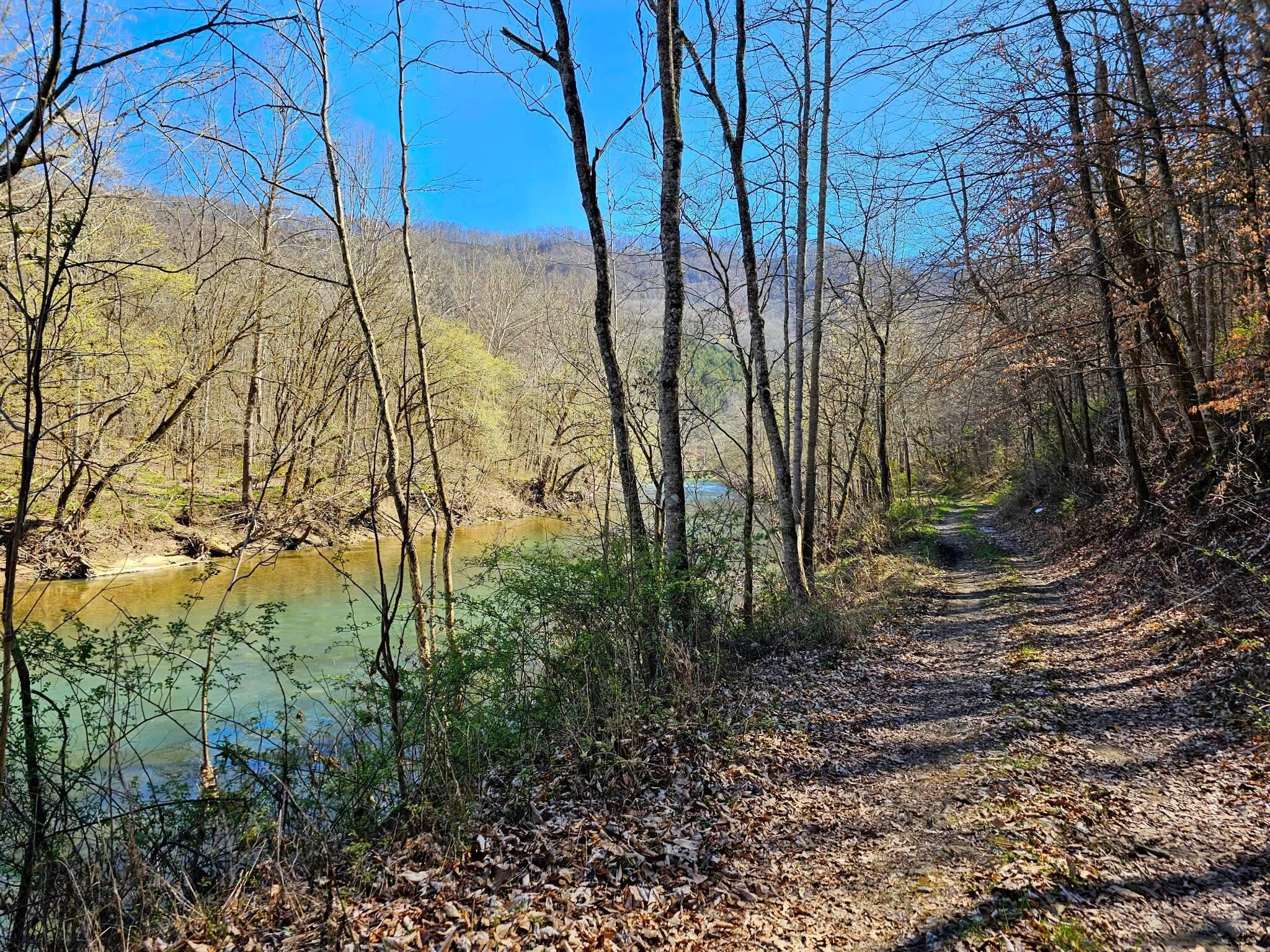 38330 Wilderness Road Jonesville, VA 24263 - Photo 67 of 95 56