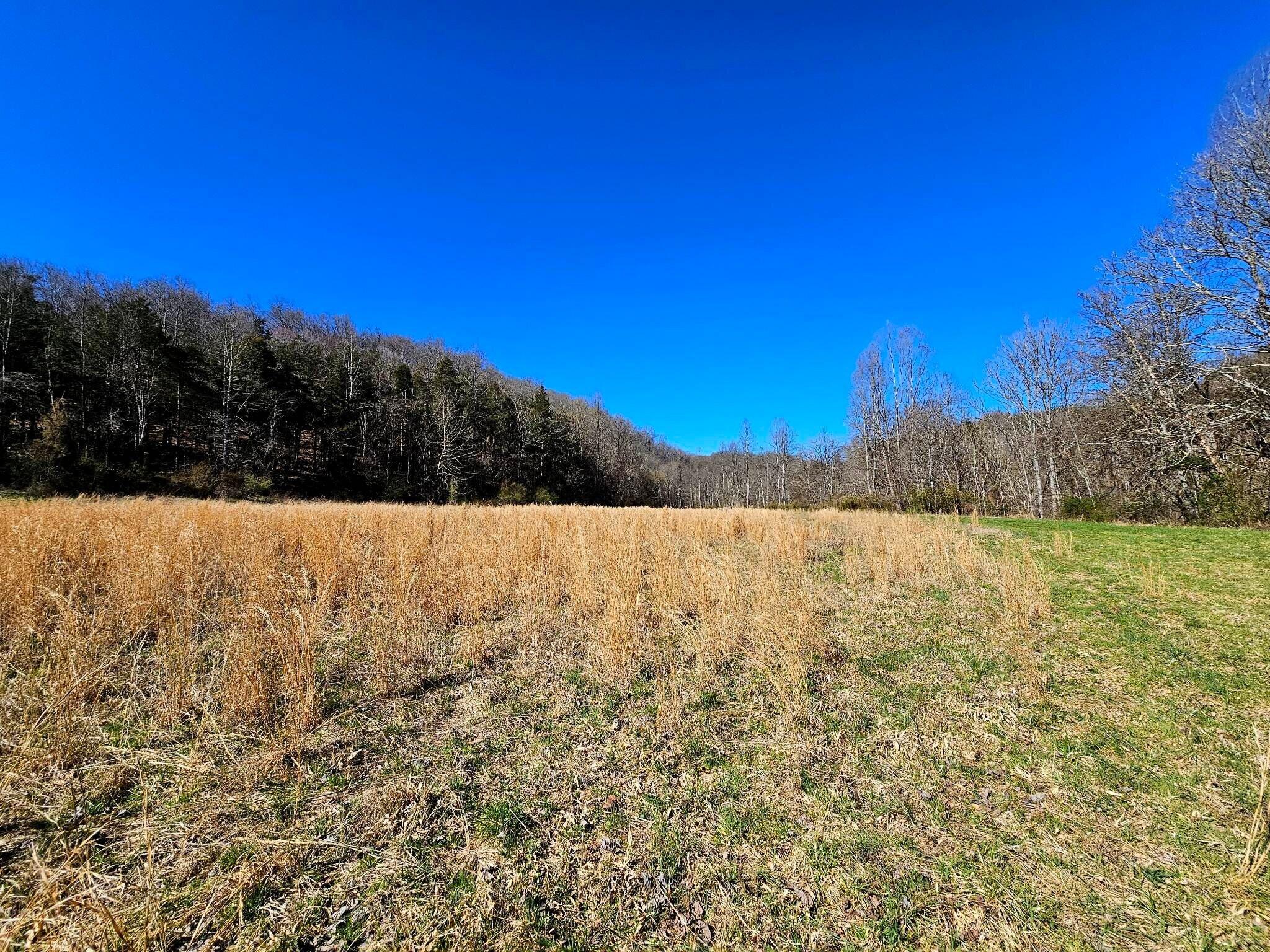 38330 Wilderness Road Jonesville, VA 24263 - Photo 69 of 95 58