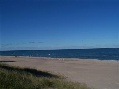 Berrien St Union Union Pier, MI 49129 - Photo 6 of 8