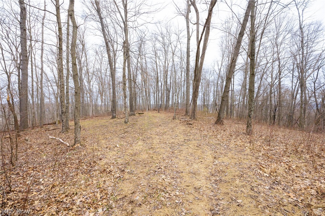 71 Township Road Killbuck, OH 44637 - Photo 28 of 39