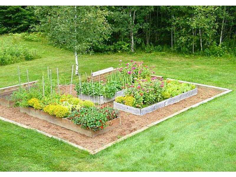 302 Walker Hill Road Wilton, ME 04294 - Photo 27 of 32 Yard/Garden.