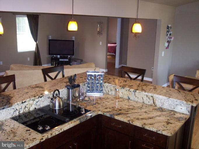 10350 Groves Farm Road Midland, VA 22728 - Photo 13 of 28 Kitchen #3