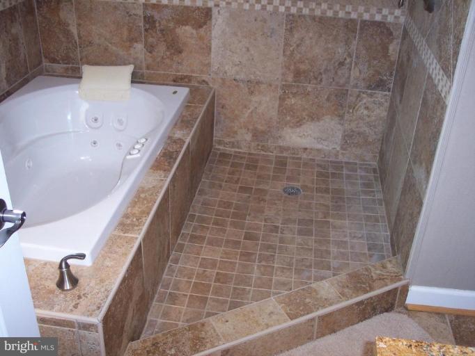 10350 Groves Farm Road Midland, VA 22728 - Photo 21 of 28 Master Bath