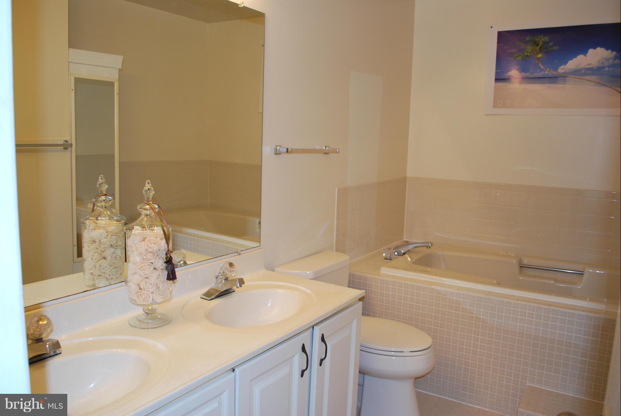 7507 Swan Point Way, Unit 184 Columbia, MD 21045 - Photo 9 of 30 Bath (Master)