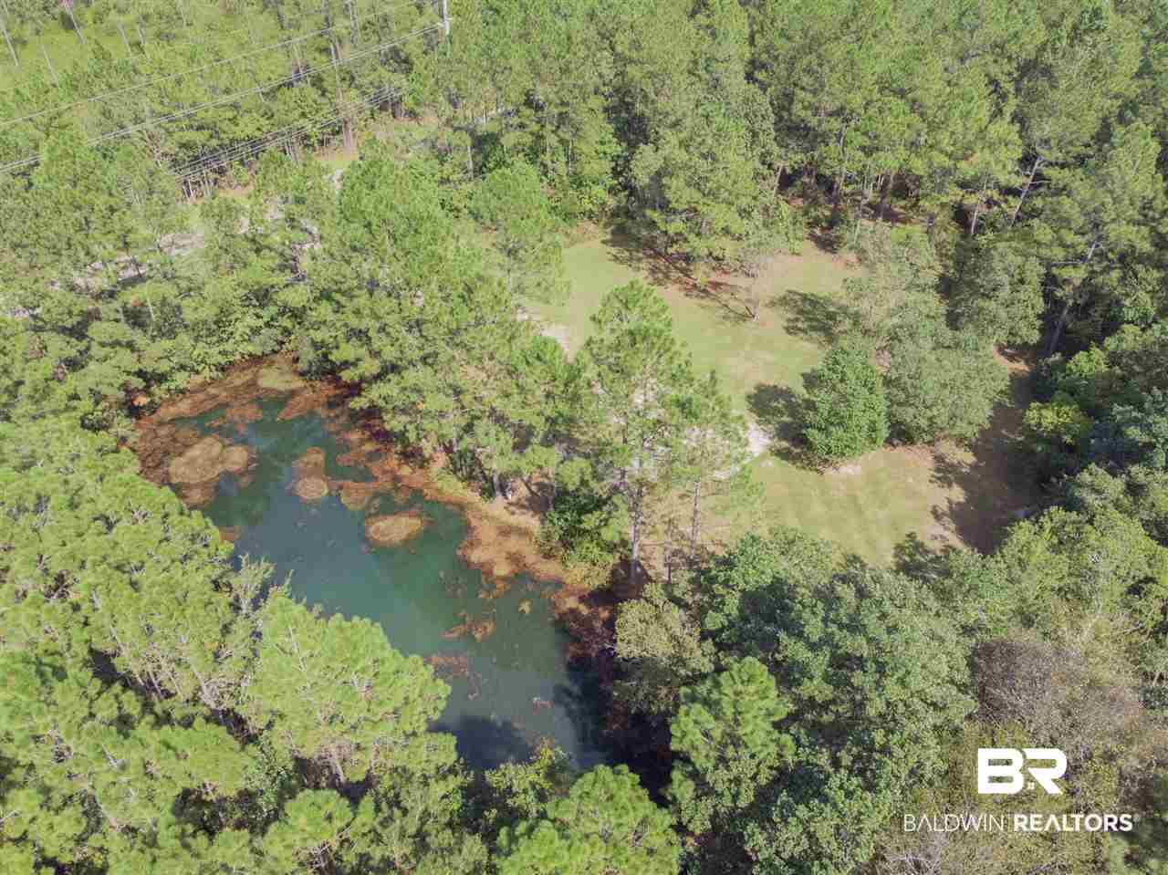 18424 County Road 16 Foley, AL 36535 - Photo 16 of 21