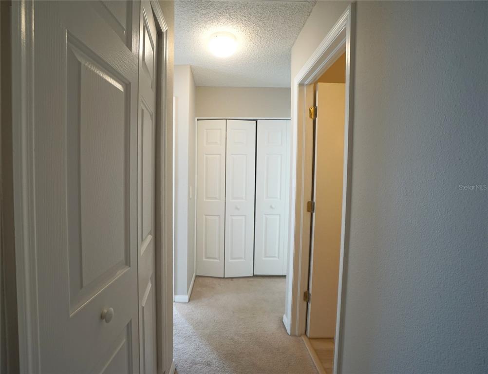 10811 Brickside Court Riverview, FL 33579 - Photo 13 of 19
