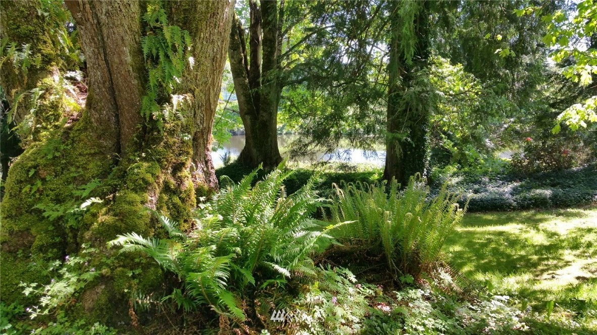 32505 132nd Street Southeast Sultan, WA 98294 - Photo 18 of 29