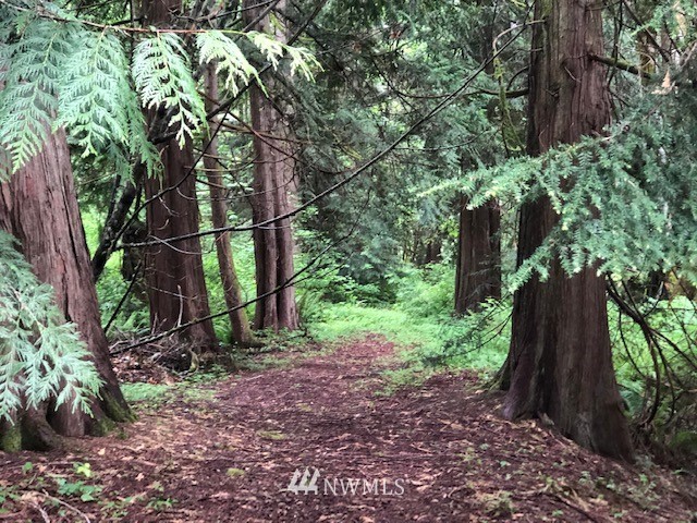 32505 132nd Street Southeast Sultan, WA 98294 - Photo 24 of 29