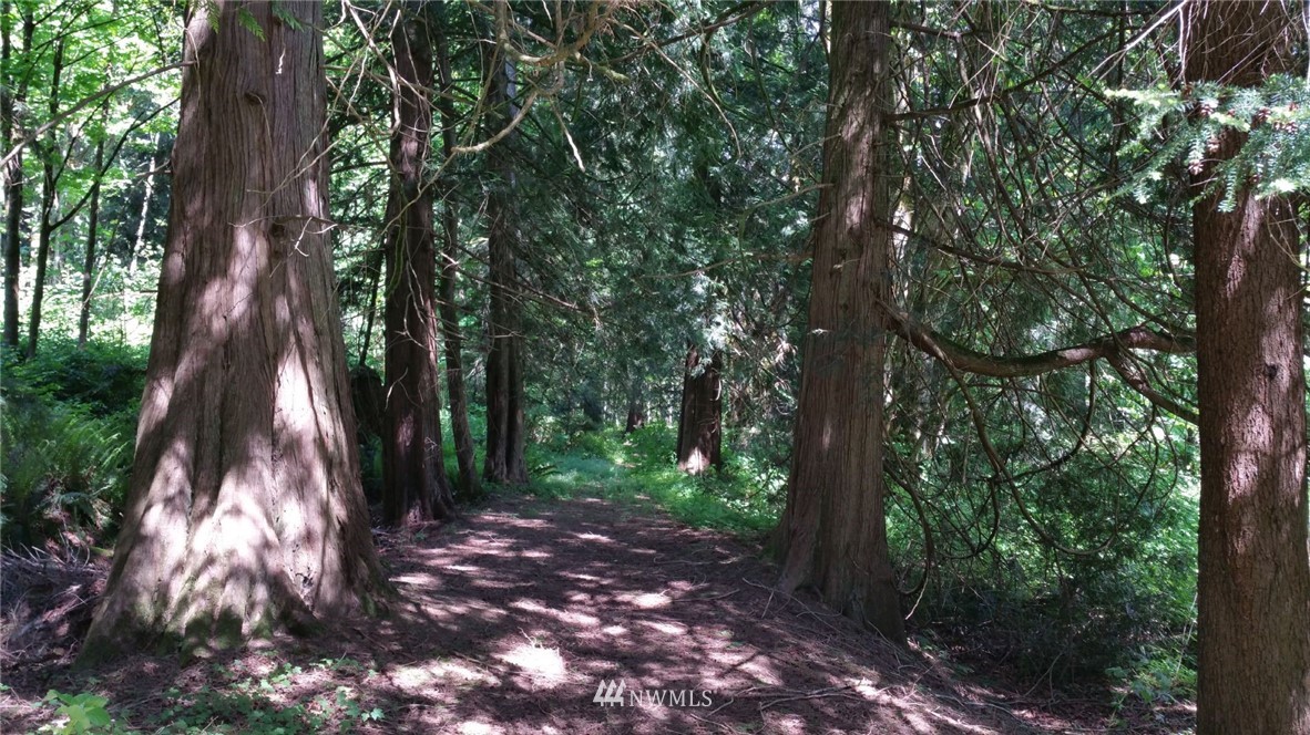 32505 132nd Street Southeast Sultan, WA 98294 - Photo 9 of 29