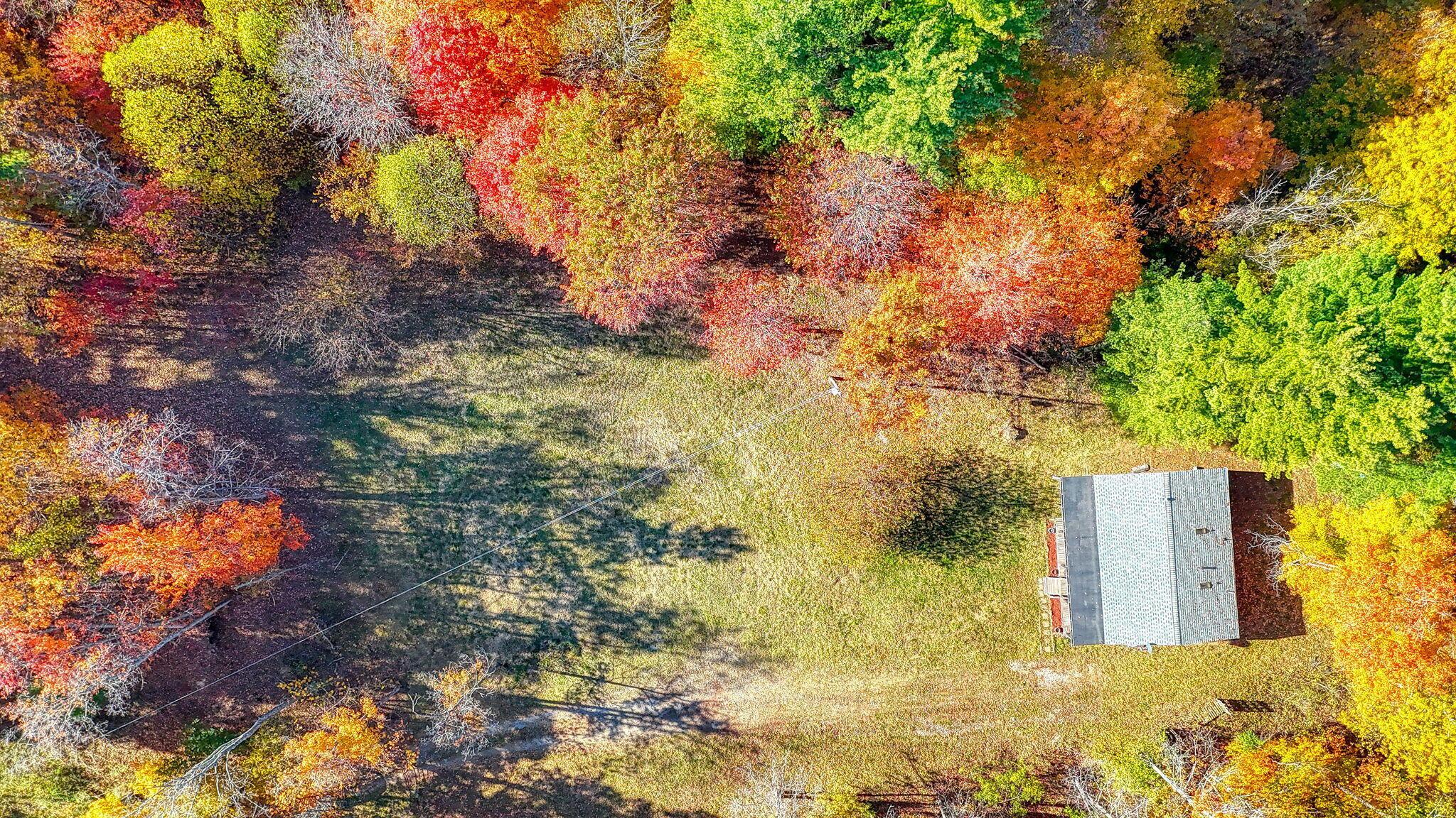 2069 Paugh Road Bainbridge, OH 45612 - Photo 44 of 48 2069 Paugh Rd (28)