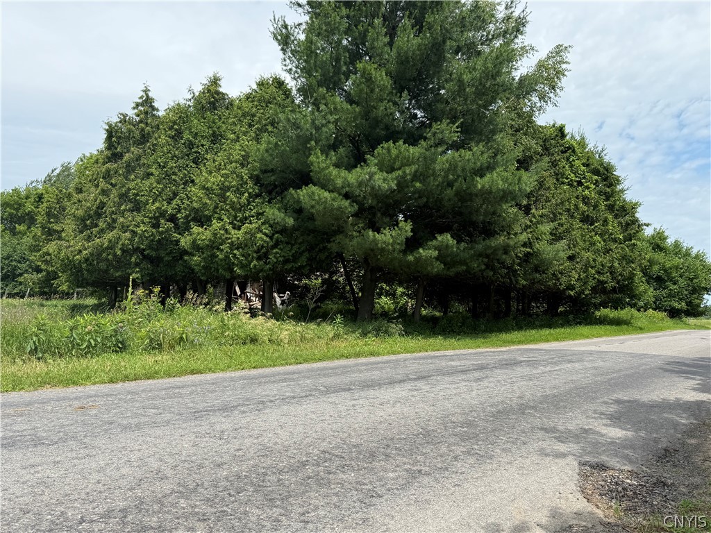 363 E Road De Peyster, NY 13654 - Photo 9 of 11