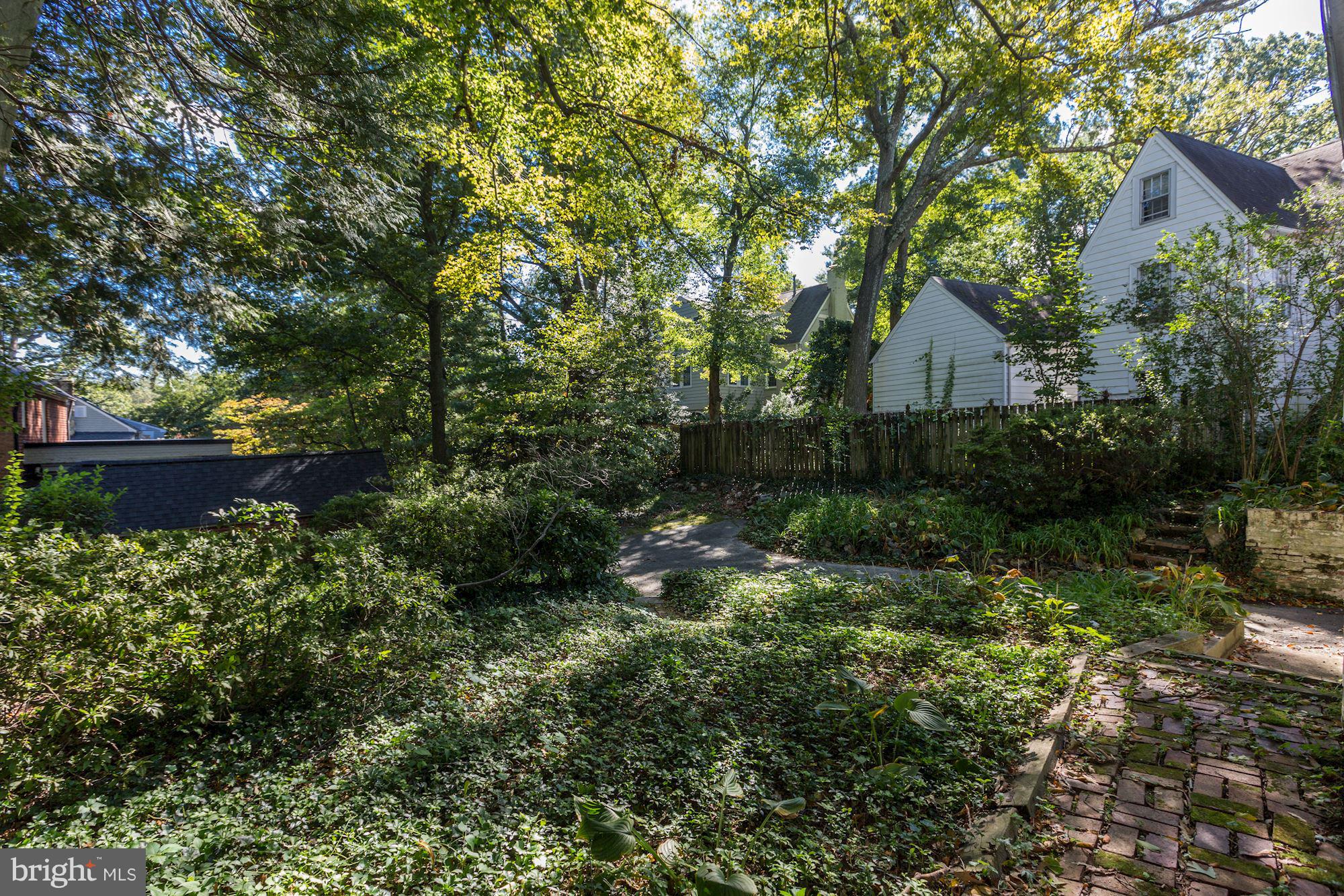 4003 North Glebe Road Arlington, VA 22207 - Photo 22 of 23 Backyard