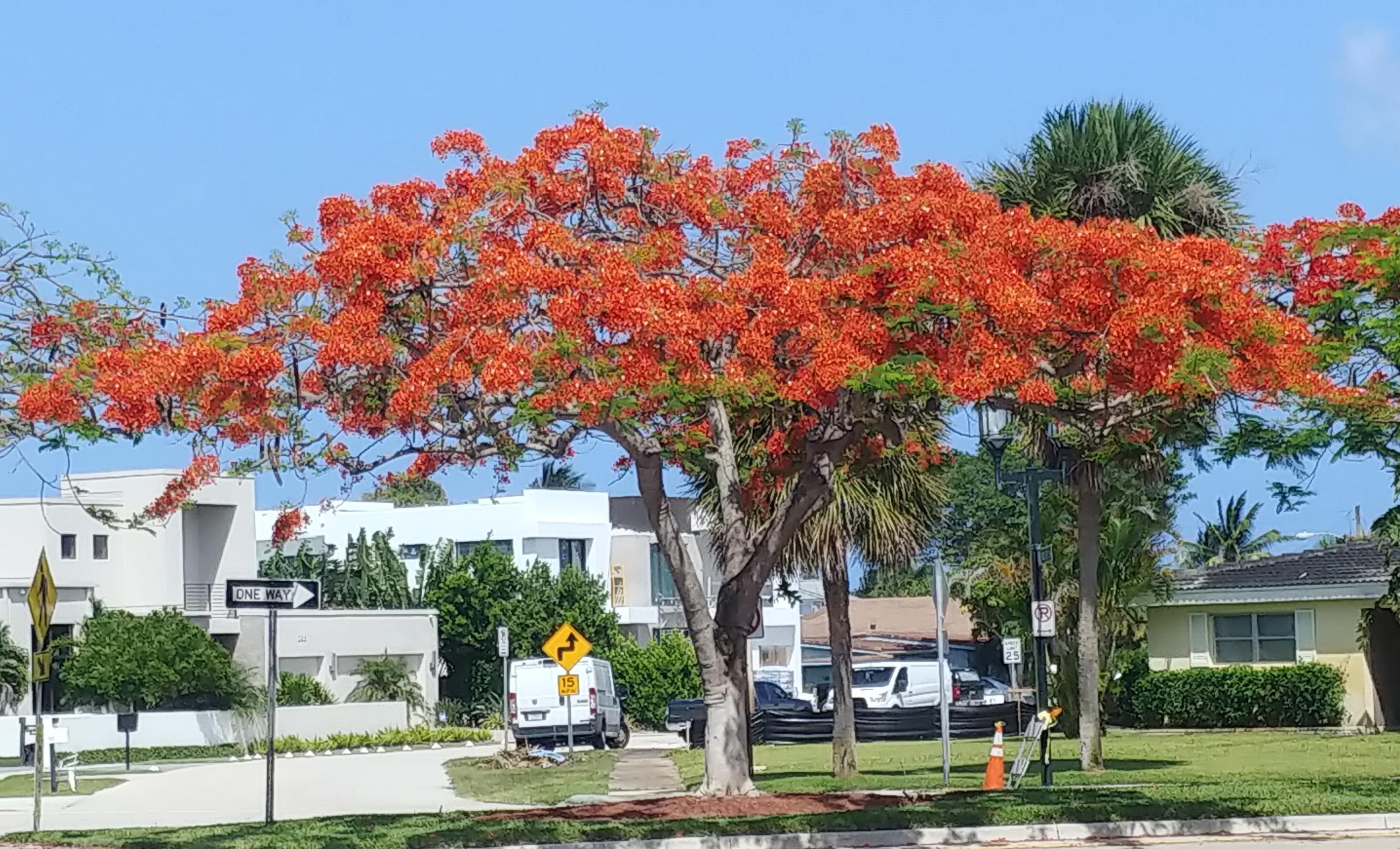 354 Northwest 42nd Street Boca Raton, FL 33431 - Photo 35 of 36 Enjoy Florida!!