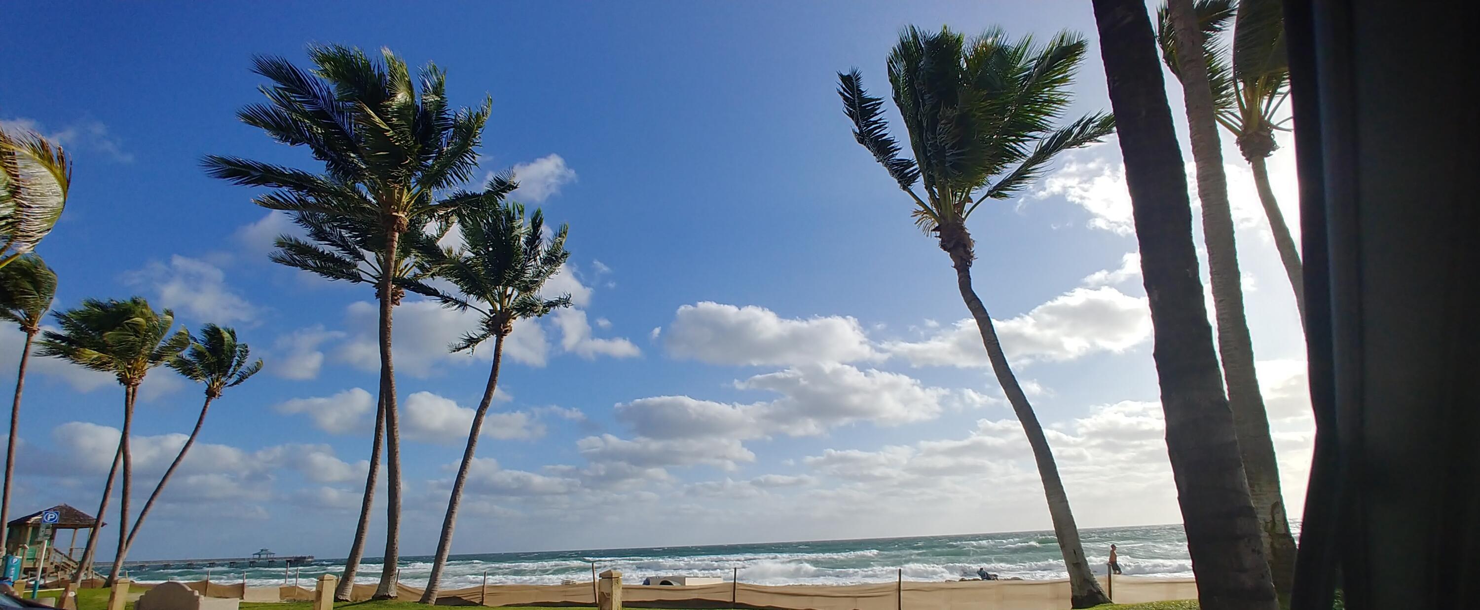 354 Northwest 42nd Street Boca Raton, FL 33431 - Photo 36 of 36 Florida Beach