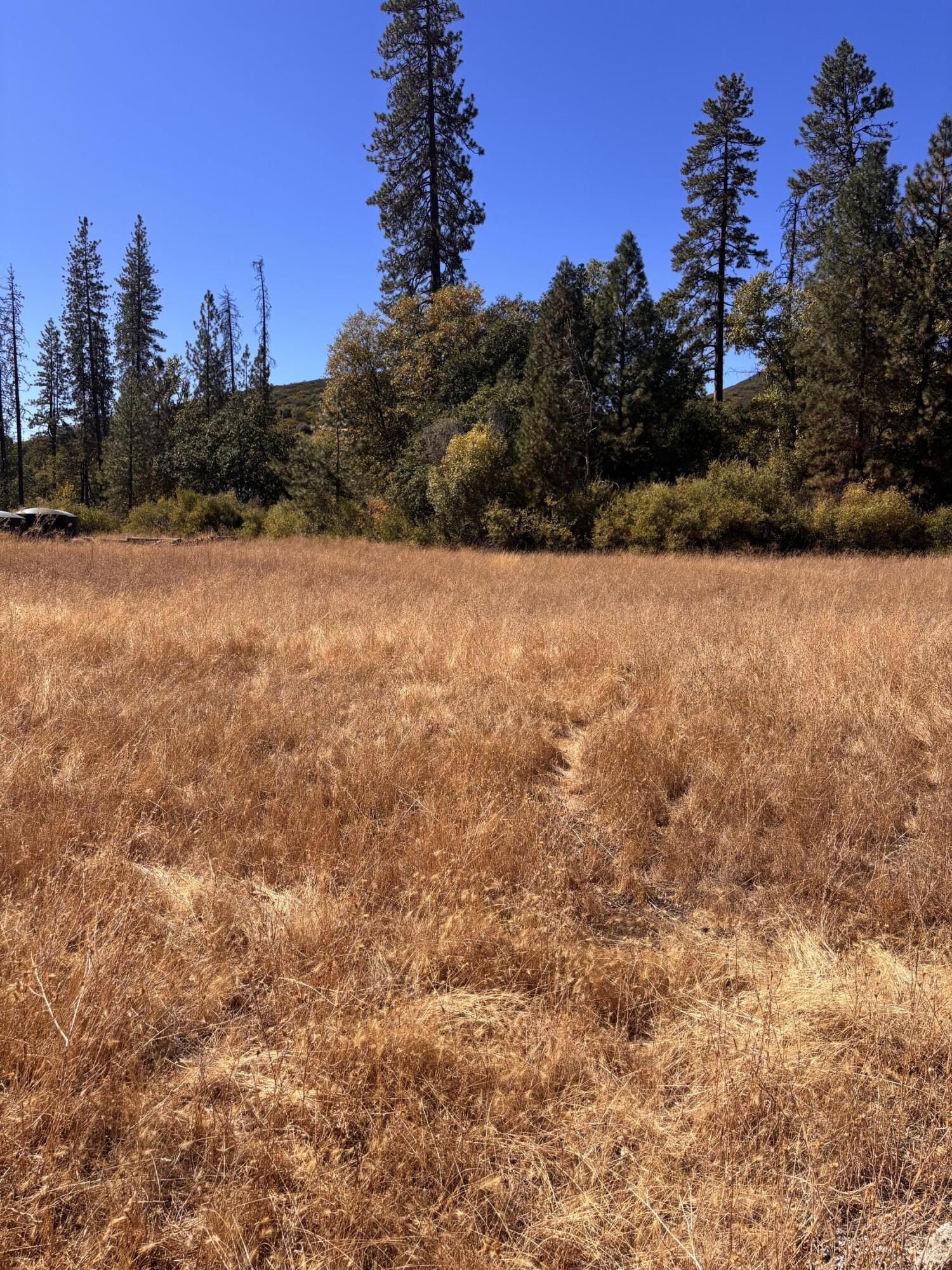 775 Barker Valley Road Hayfork, CA 96041 - Photo 11 of 41 Lower area