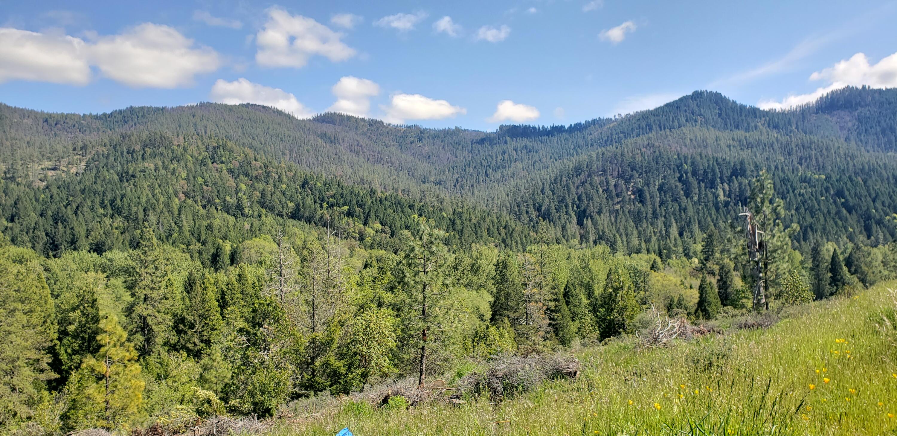 1020 Kirkham Road Cave Junction, OR 97523 - Photo 14 of 16 Overlooking BLM and a larger pvt property, from front of home.