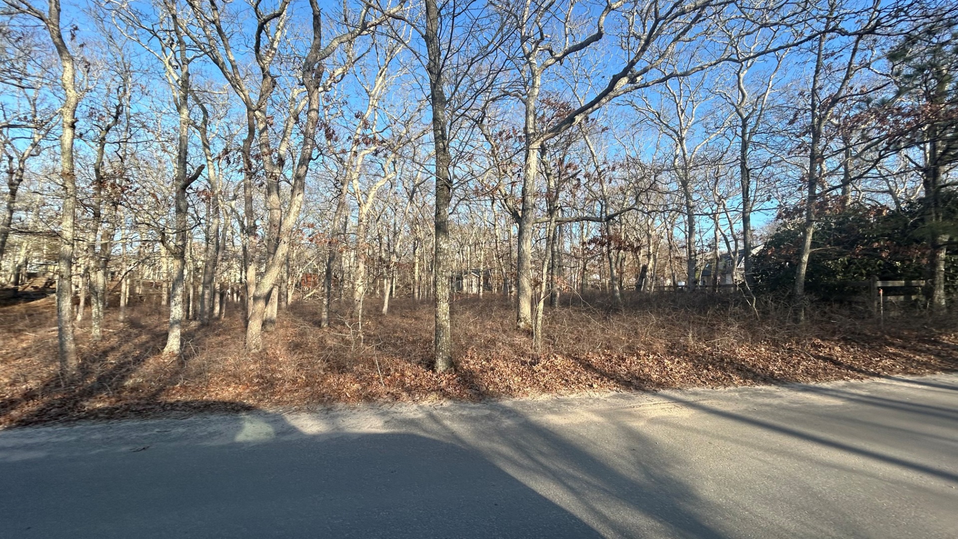 56 Holmes Hole Road Oak Bluffs, MA 02557 - Photo 2 of 2