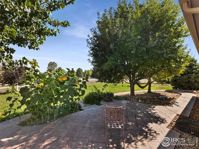 a view of a pathway with a tree