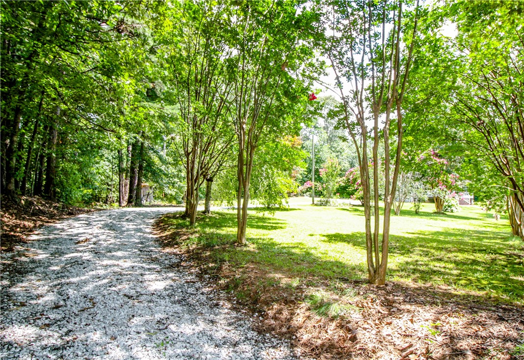 480 Cassidy Bridge Road Mountain Rest, SC 29664 - Photo 47 of 49 Gallery Image 47
