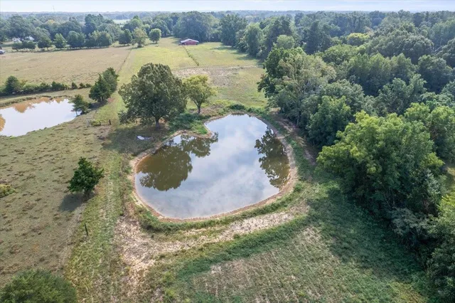 a view of a lake from a yard