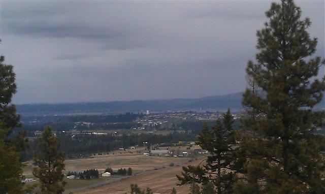 6550 South Saddle Ridge Road Greenacres, WA 99016 - Photo 5 of 5