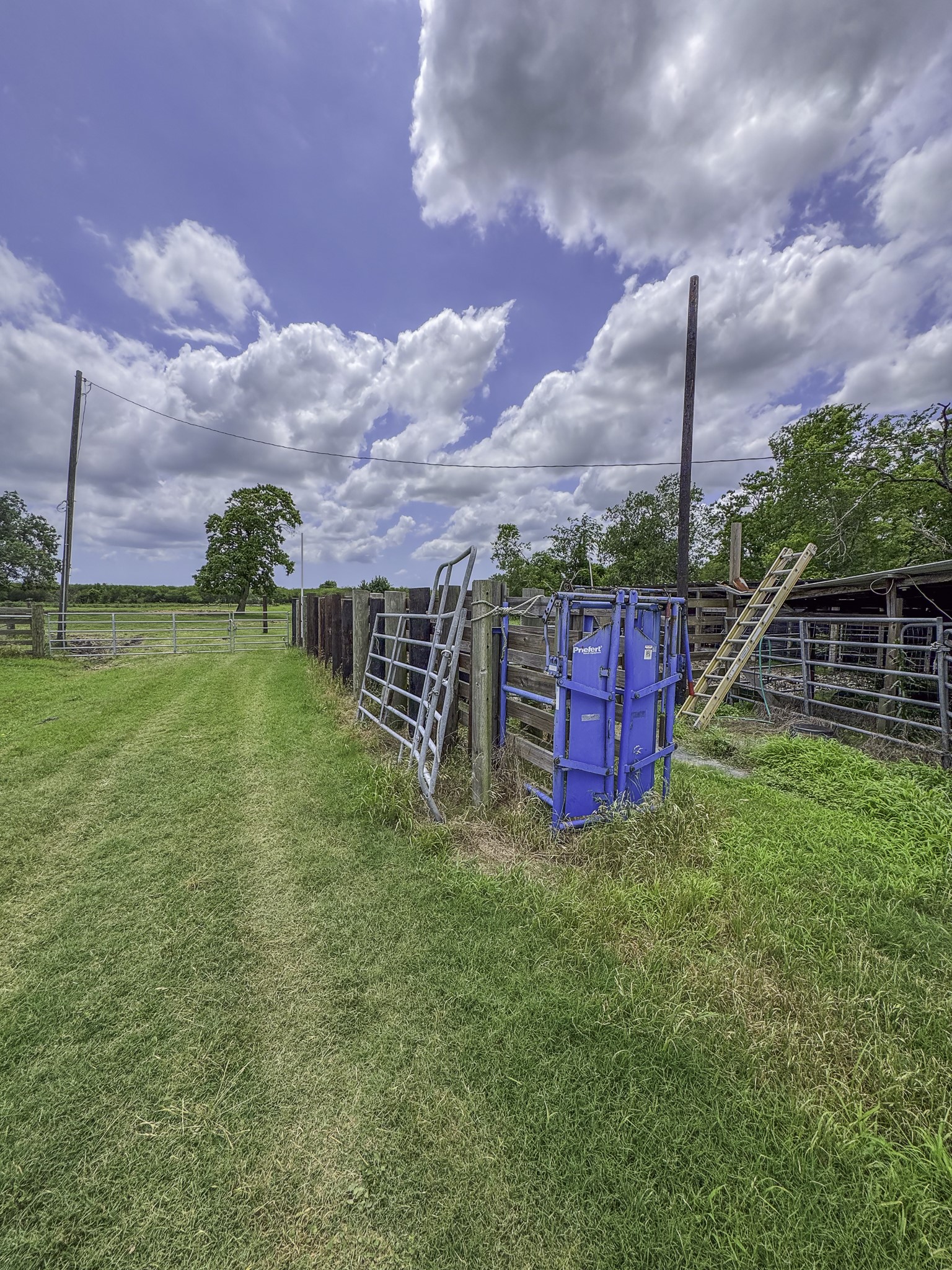 11810 Zamanek Road Needville, TX 77461 - Photo 25 of 30 a view of a garden with a bench in the background