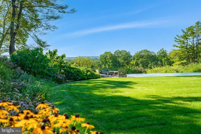 a view of yard with green space