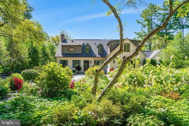 a view of a back yard with plants and large trees