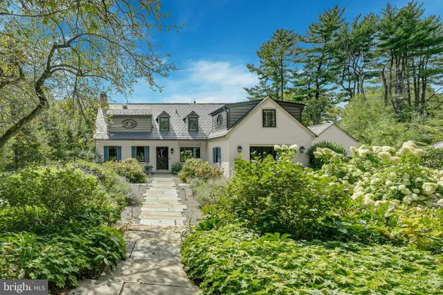 a view of a tree in the park