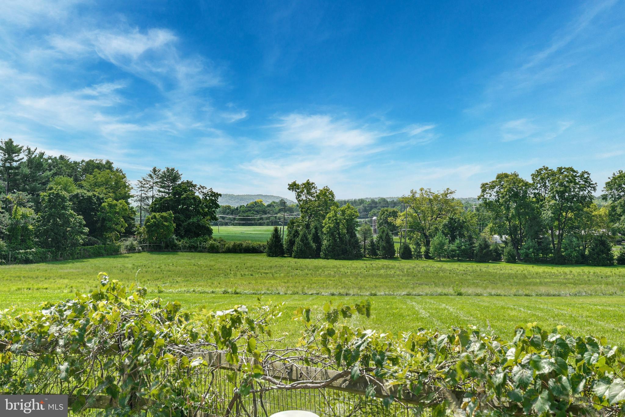 7043 Phillips Mill Road New Hope, PA 18938 - Photo 77 of 84 a view of a field with a trees in the background