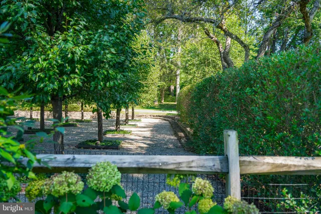 a view of a park with large trees