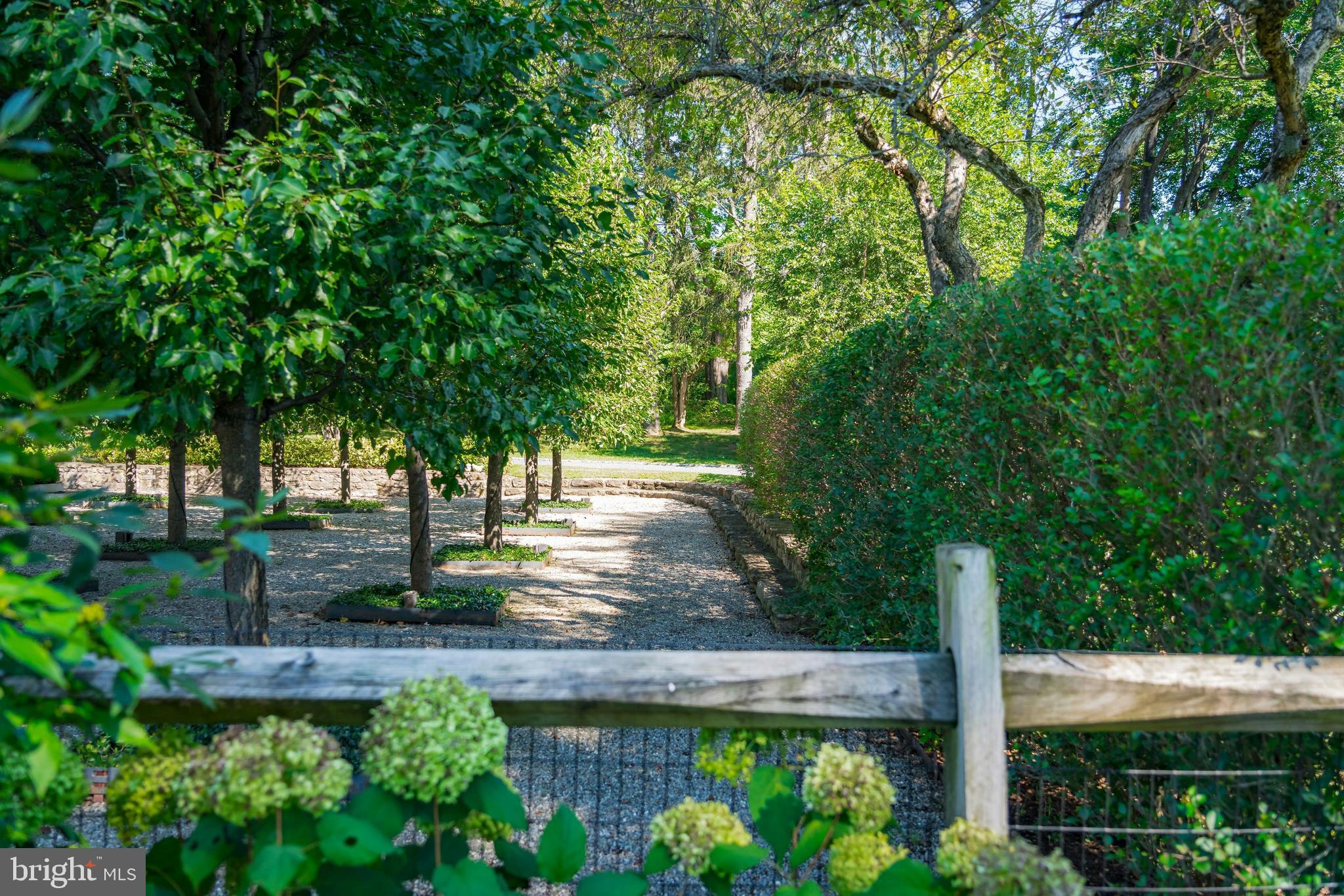 7043 Phillips Mill Road New Hope, PA 18938 - Photo 8 of 84 a view of yard with green space