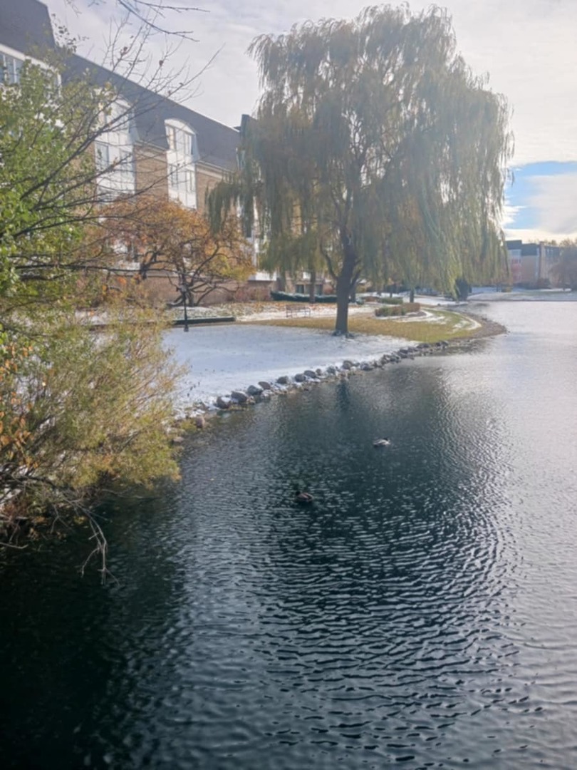 200 Lake Boulevard, Unit 402 Buffalo Grove, IL 60089 - Photo 25 of 26