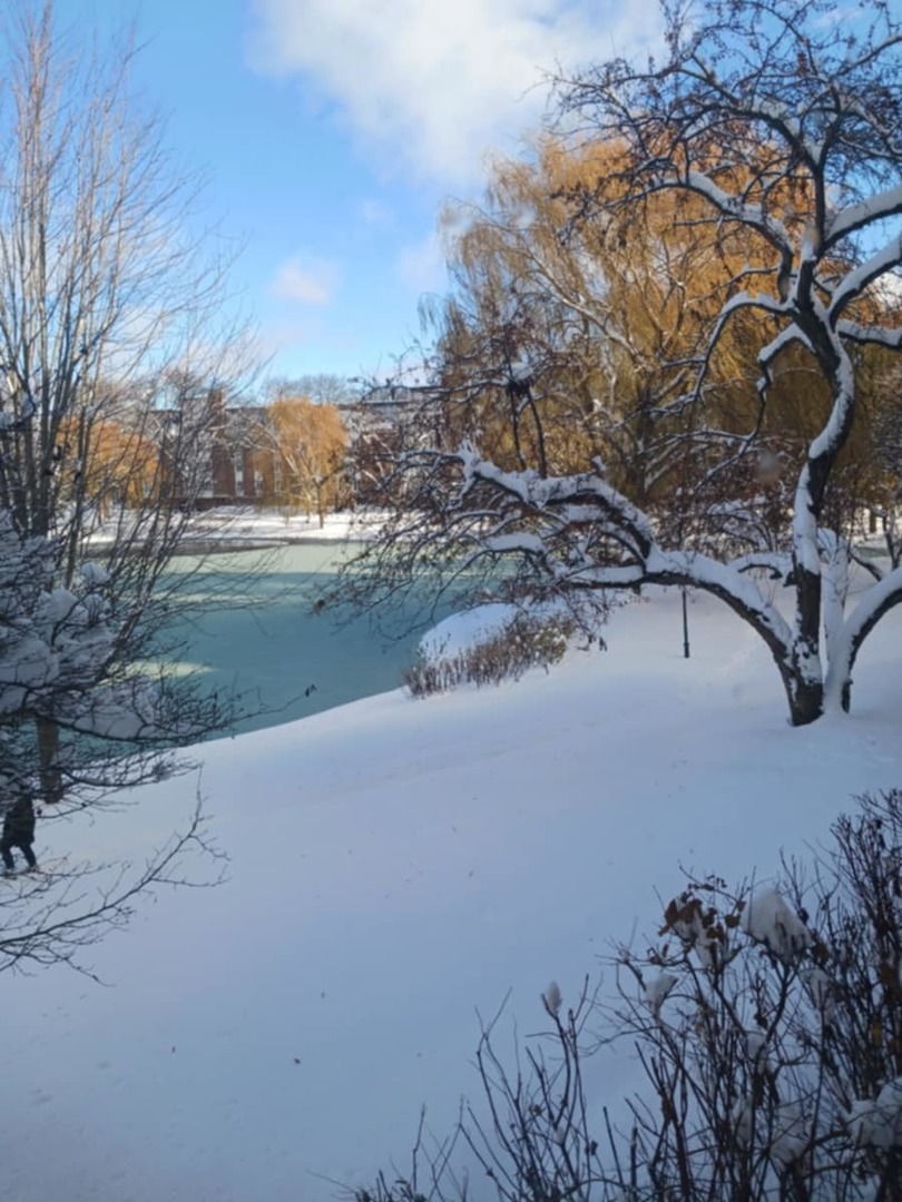 200 Lake Boulevard, Unit 402 Buffalo Grove, IL 60089 - Photo 26 of 26