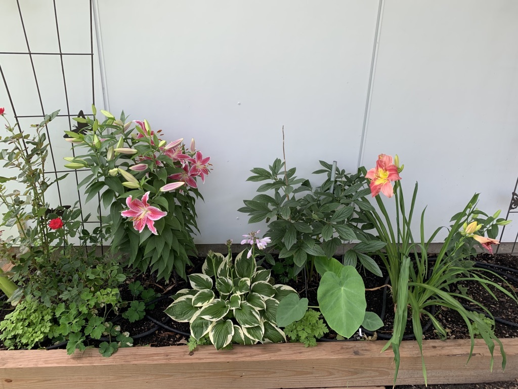 7415 West Main Street Niles, IL 60714 - Photo 62 of 71