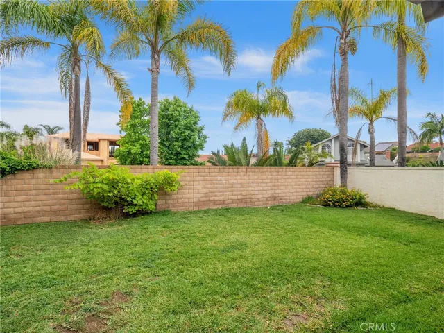 a view of a backyard with plants and a large tree