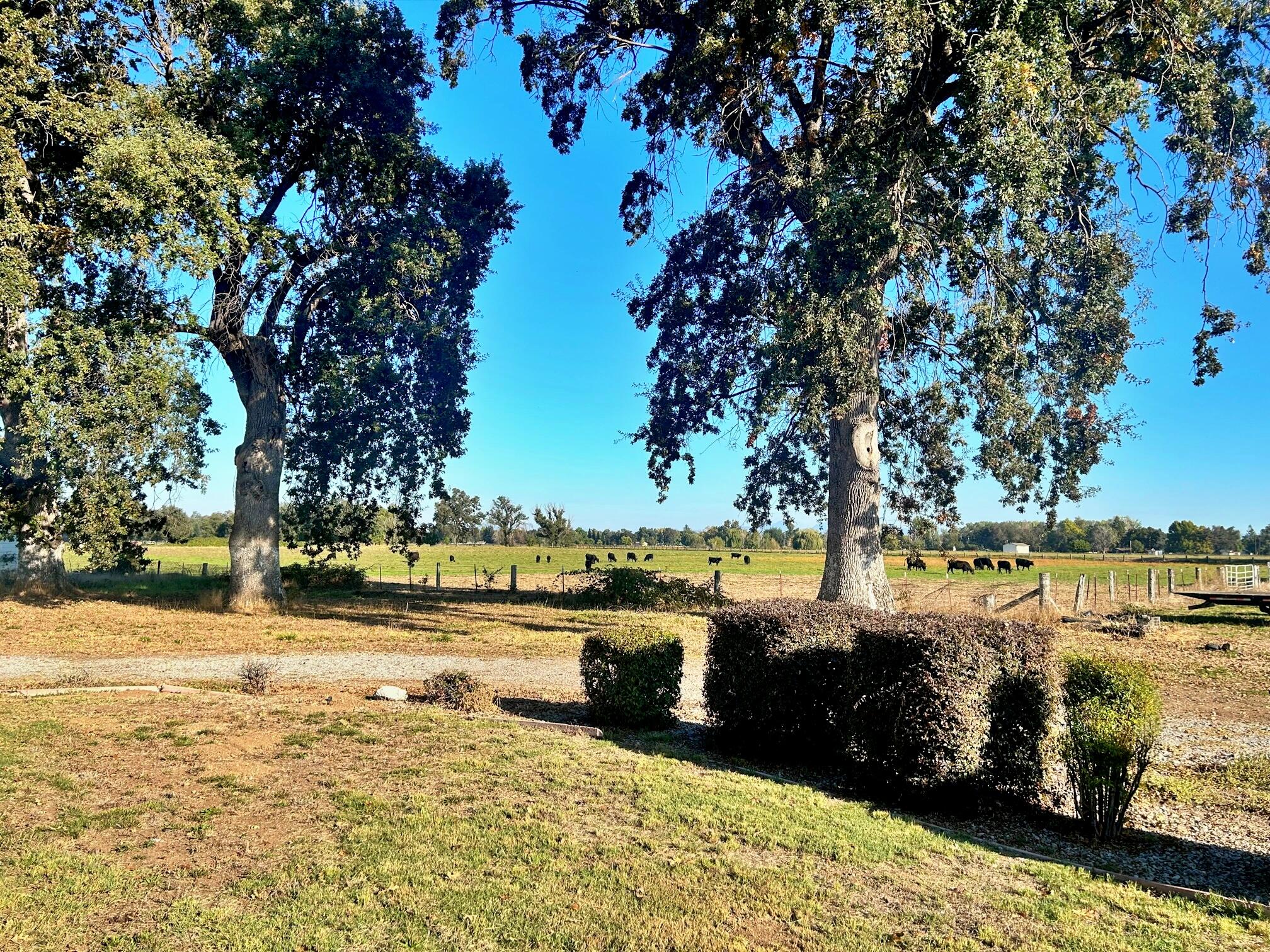 5710 Balls Ferry Road Anderson, CA 96007 - Photo 28 of 39 View from Front Porch