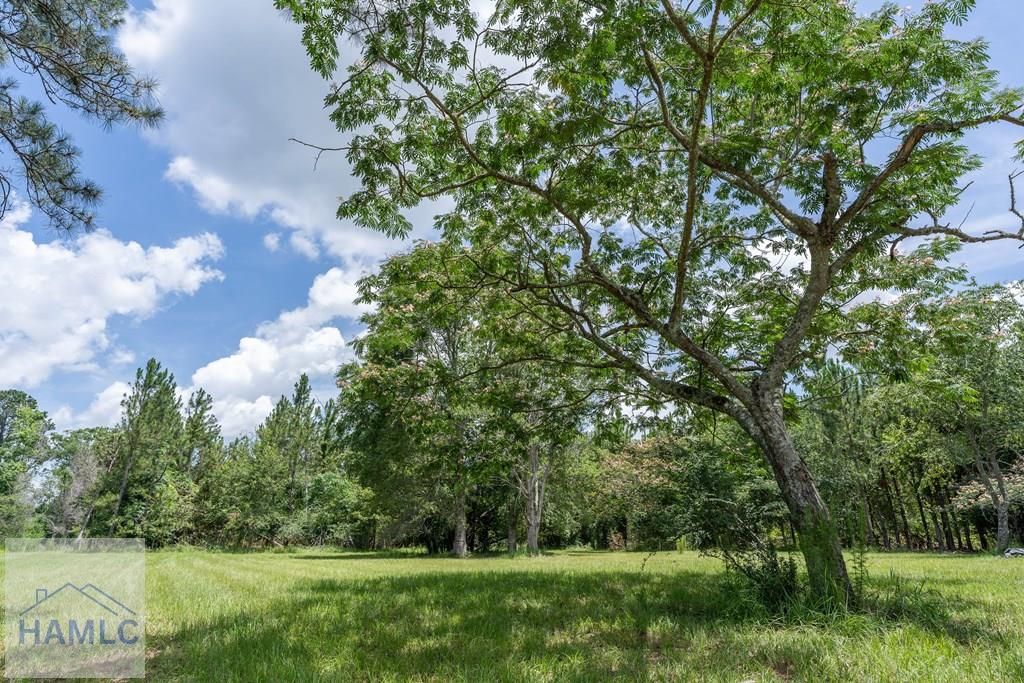 0 Oriole Road Odum, GA 31555 - Photo 10 of 24 Gallery Image 10
