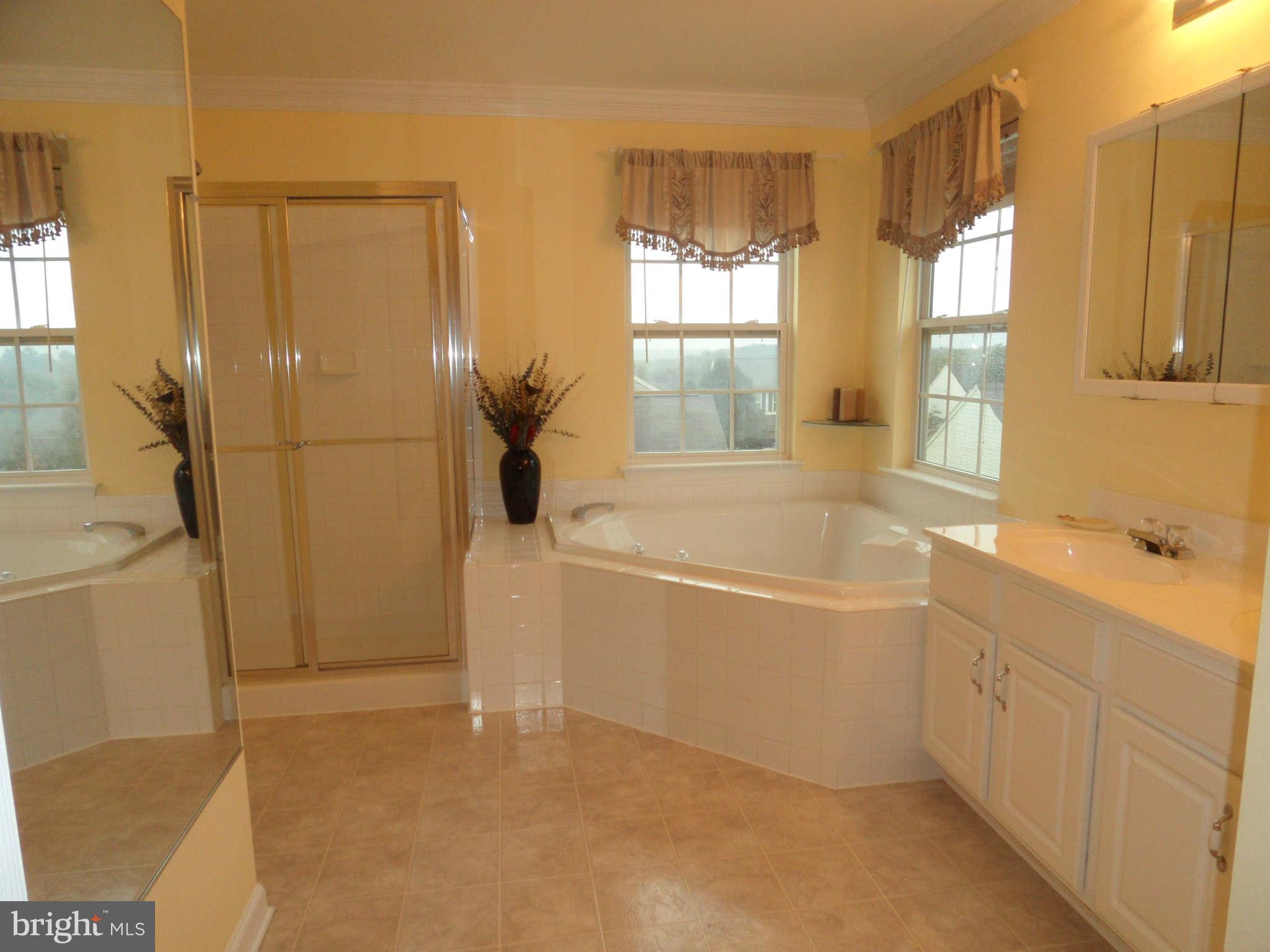 14313 Autumn Crest Road Boyds, MD 20841 - Photo 17 of 30 Bath (Master)