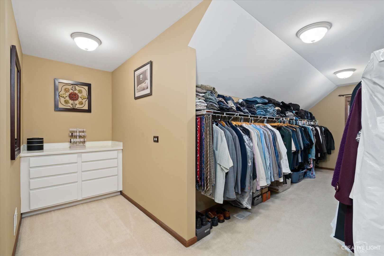 3519 Vanilla Grass Drive Naperville, IL 60564 - Photo 21 of 48 a view of walk in closet with clothes and shoes