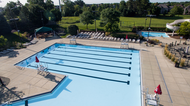 3519 Vanilla Grass Drive Naperville, IL 60564 - Photo 42 of 48 a view of a backyard with sitting area
