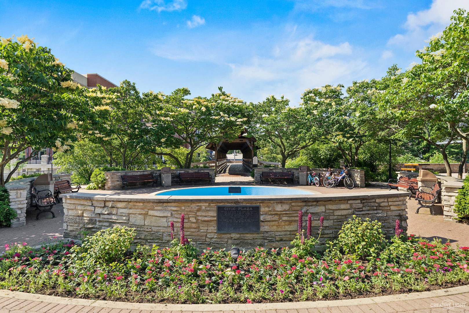 3519 Vanilla Grass Drive Naperville, IL 60564 - Photo 48 of 48 a view of a backyard with sitting area
