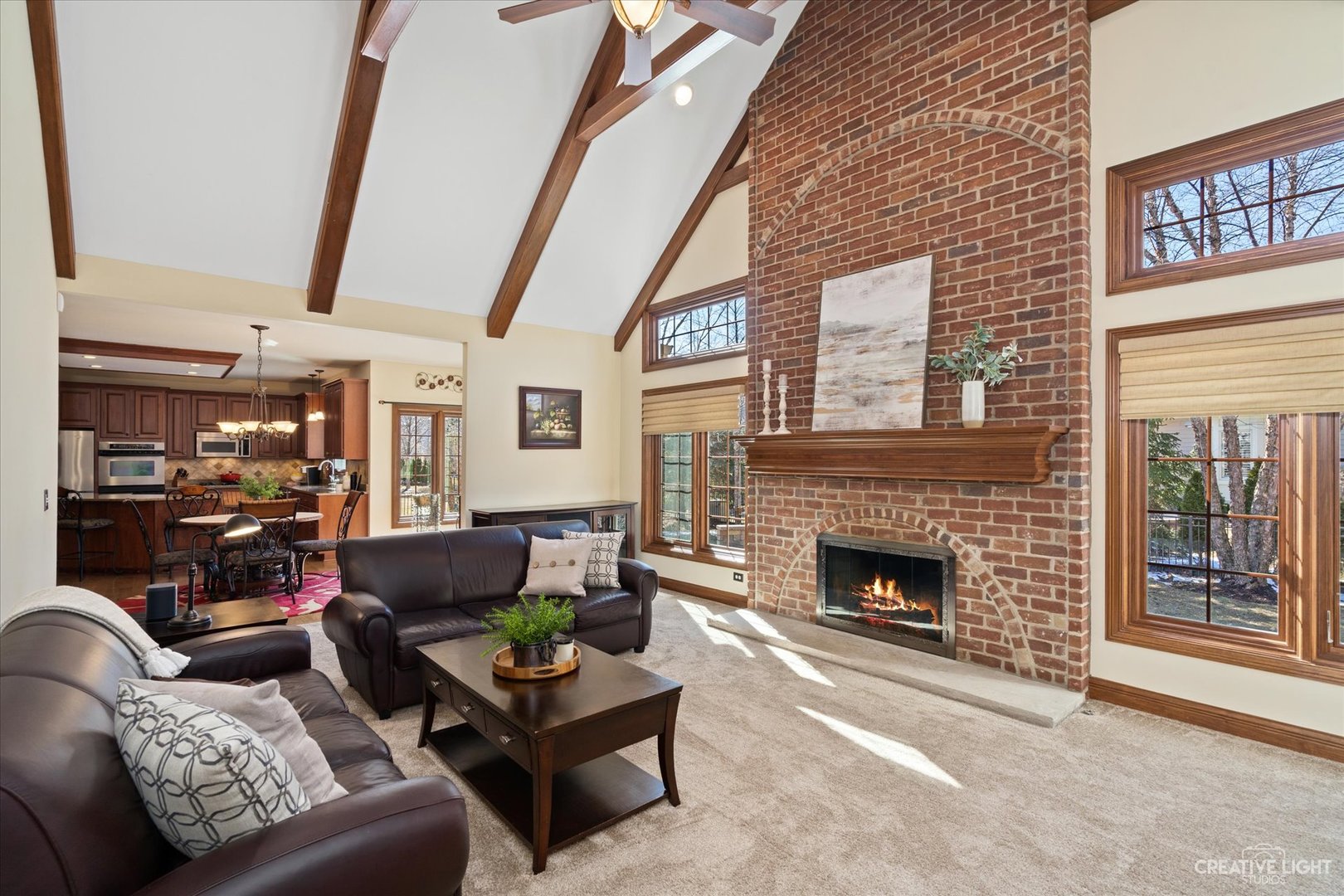 3519 Vanilla Grass Drive Naperville, IL 60564 - Photo 10 of 48 a living room with furniture and a fireplace