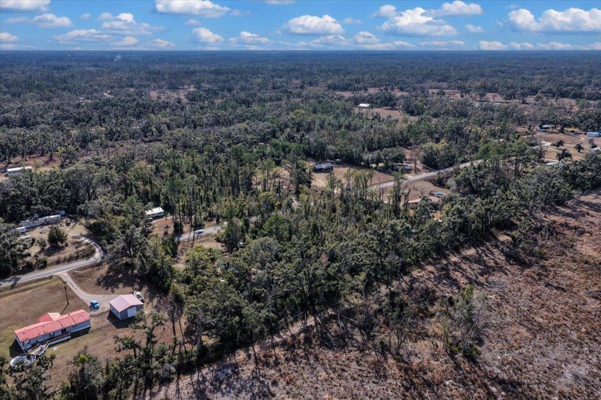 1100 Glennis Cruce Road Perry, FL 32347 - Photo 21 of 57