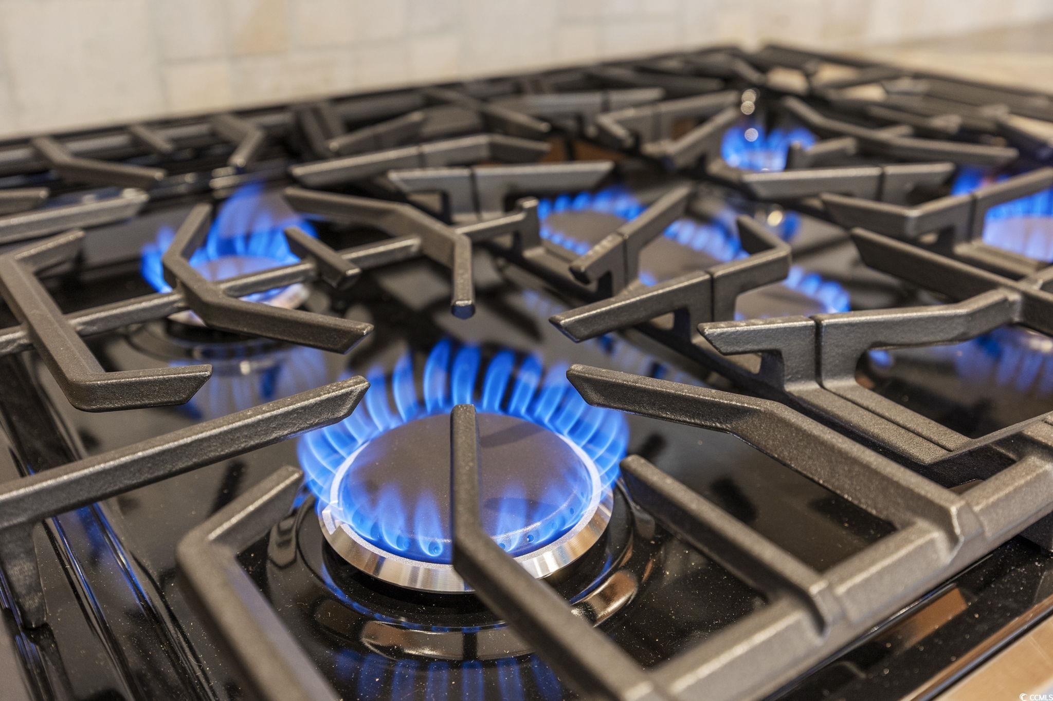 1448 Tiger Grand Drive Conway, SC 29526 - Photo 14 of 40